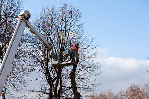 Soil Testing and Treatment in Ofallon, MO